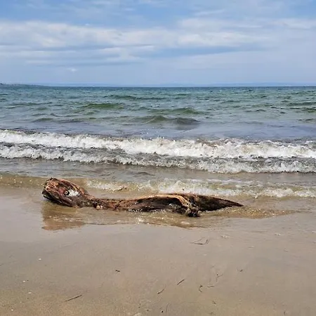 царски бриз Apartment